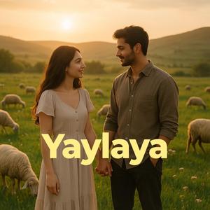 Yayla ya