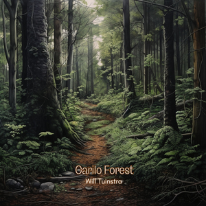 Carilo Forest