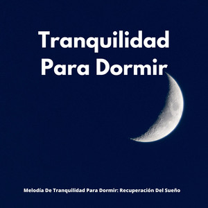 El Espacio Entremedio
