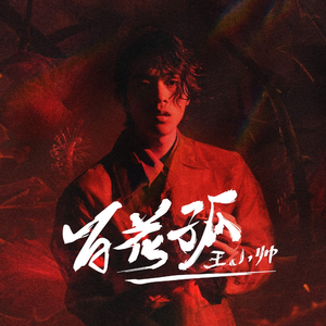 百花孤 (Dj沈念版伴奏)