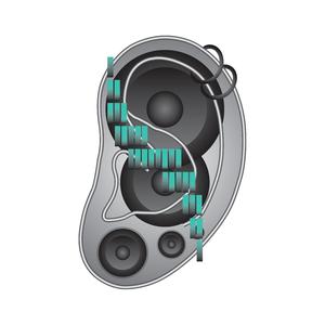 I Swear The Bass Was Talking To Me