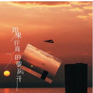 DJ小鱼儿-如果你真的要离开（DJ小智 / DJ小鱼儿 remix）