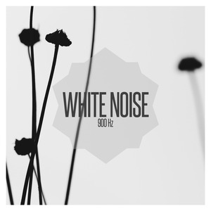 White Noise 900 Hz, Pt. 2