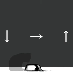 ↓→↑