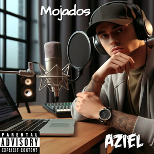 Mojados