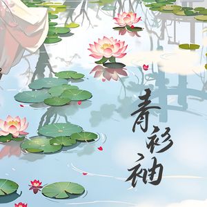 青衫袖