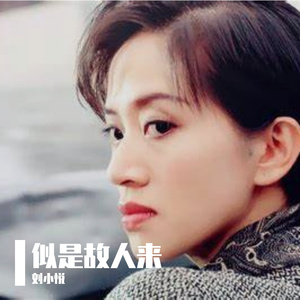 似是故人来【温柔男生版】