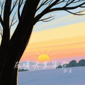 在曙光里等你