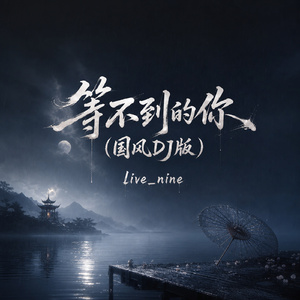 等不到的你(国风DJ版)