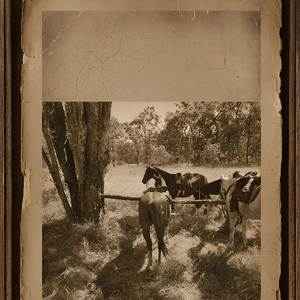 Old Time Horse's