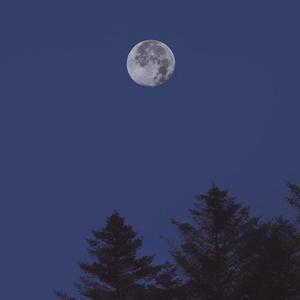 写给十五岁的你