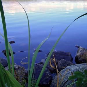 Morning Dew (Sagano Remix)