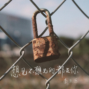 想见不想见的都是你 (DJ默涵版)