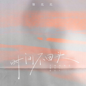 时间不回头 (DJ九零版)