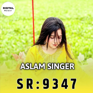 Aslam Singer Sr 9347
