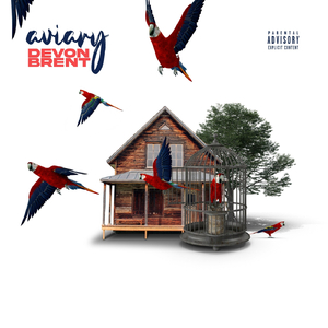Aviary