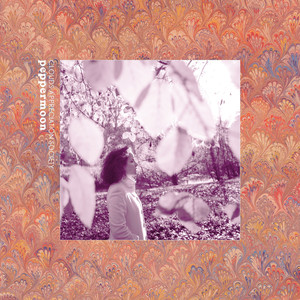 Clouds Appreciation Society