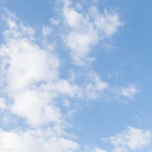 香草吧噗（bootleg 伴奏）