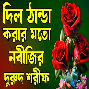 মন খারাপ দুরুদ শরীফ শুনুন মন ভালো হয়ে যাবে বাংলা দুরুদ শরীফ