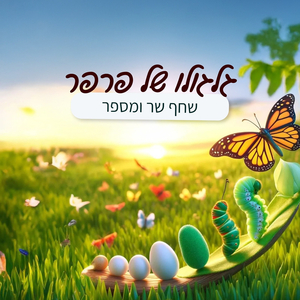 גלגולו של פרפר
