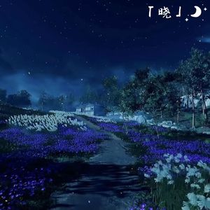 Night dawn（昼夜拂晓）