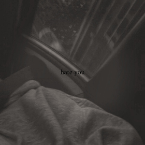 hate you