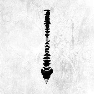 我什么都没有，只是失去