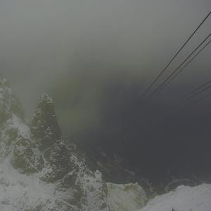 Swimming with the Delphines