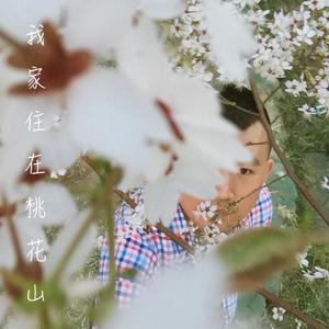 我家住在桃花山