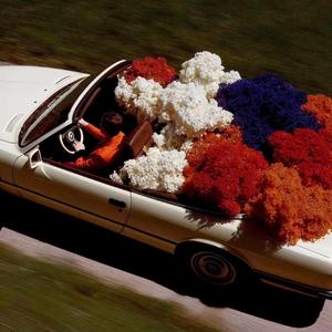 Cornfield Chase（舒享版）