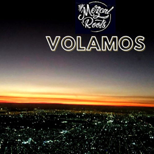 VOLAMOS