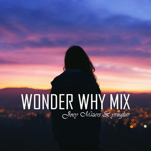 Wonder Why Mix