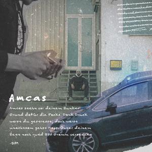 AMCAS