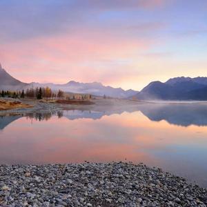 那红叶树下 伴奏