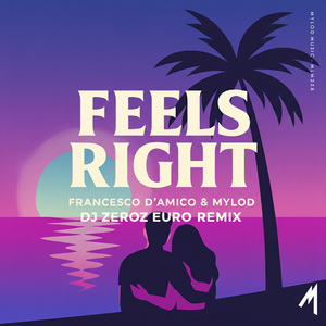 Feels Right (Dj Zeroz Euro Remix)