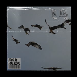 [免费FREEE]“飞鸟”POLO G TOOSII 吉他 GUITAR TYPE BEAT