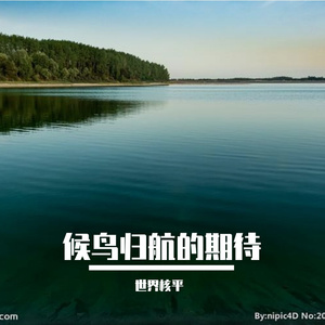 候鸟归航的期待