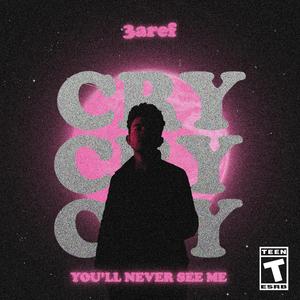 You'll Never See Me Cry