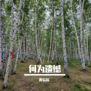 路是自己选的就没有回头余地