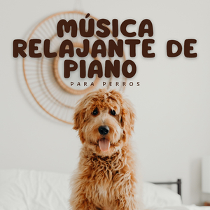Música De Piano Motivadora Y Lenta Para Una Aura Positiva
