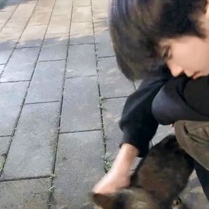 微风轻诉宁静时光