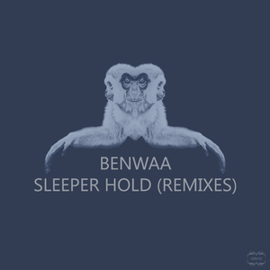 Sleeper Hold (Persistent Intergra Mix by Dada Davros)