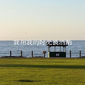 我用我的时光换酒酌