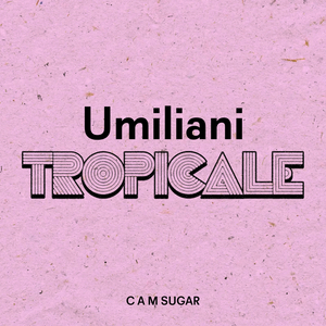 Raptus ("From Raptus" Soundtrack / Samba)