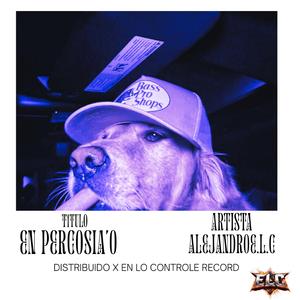 EN PERCOSIA'O