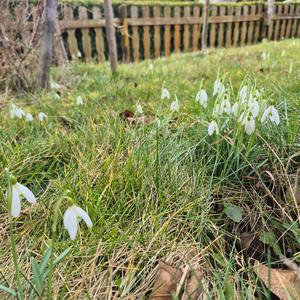 Regenbogen, Sonnenlicht
