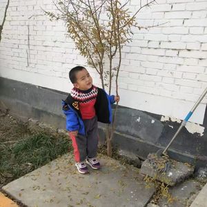 永远不会停