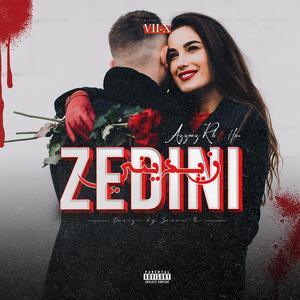 Zedini (feat. Heroginal)