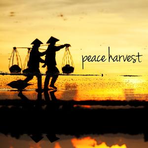 Medicine Man's Dream