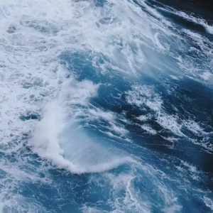 Asphyxia（窒息）